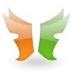 Иконка FlylinkDC++