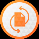 Иконка Paragon Hard Disk Manager