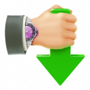 Иконка Internet Download Accelerator Pro