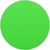 Иконка Green Screen Wizard Professional 15.0 (14.09.2026)
