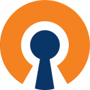 Иконка OpenVPN