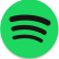 Иконка Spotify