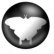 Иконка Qmmp 2.3.3